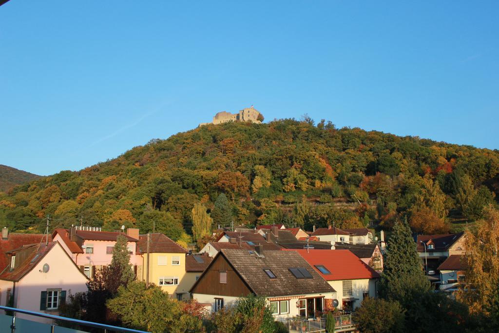 Готель Gaestehaus Rebenhof Нойштадт-ан-дер-Вайнштрасе Екстер'єр фото